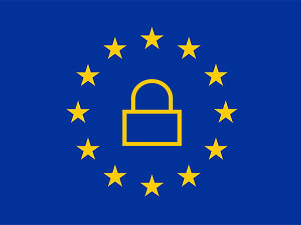 Privacy UE: soggetti autorizzati al trattamento dei dati personali - Versione Full